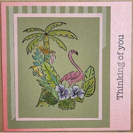 Stamp of the Month - June 2023- Tropical Flamingo