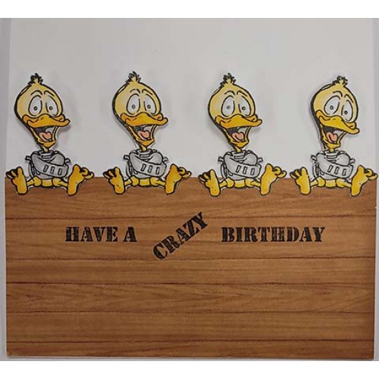 Crazy Birthday Safari Man rubber stamp set - SALE