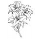 Oriental Lily Cling Rubber Stamp