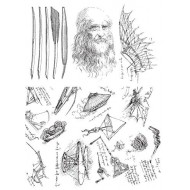 DaVinci Rubber Stamp set by JudiKins