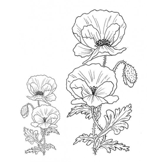 Poppies rubber stamps