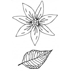 Poinsettia Duo Rubber Stamp Set