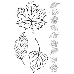 Leaves Rubber Stamp Set