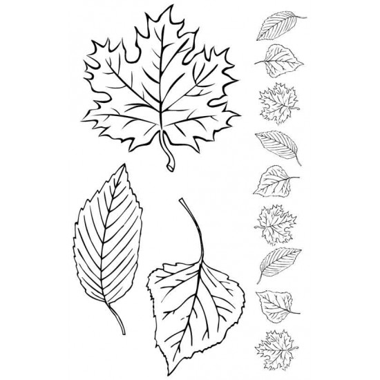 Leaves Rubber Stamp Set