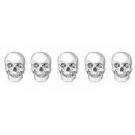 Skull Border Rubber Stamp