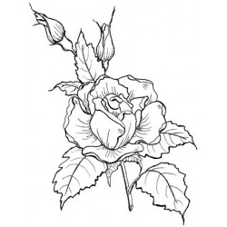 Large Rose Rubber Stamp