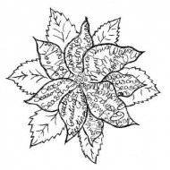 Scripted Poinsettia Rubber Stamp