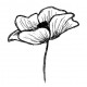 Emily's Poppy Small Rubber Stamp