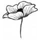 Emily's Poppy Large Rubber Stamp