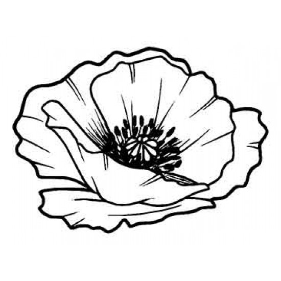 Sm Poppy Head rubber stamp by Teri Sherman