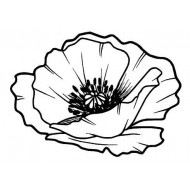 Lg Poppy Head rubber stamp by Teri Sherman