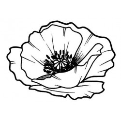 Lg Poppy Head rubber stamp by Teri Sherman