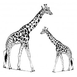 Gabby Giraffe & Calf Cling Rubber Stamp 