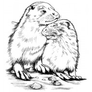 Otter Snuggles cling mounted Rubber Stamp