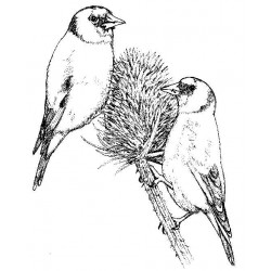 Goldfinches Cling Rubber Stamp