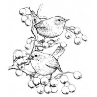 Wrens Cling Rubber Stamp